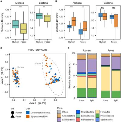 Rumen and fecal microbiomes are related to diet and production traits in Bos indicus beef cattle